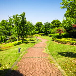 Promenade in a beautiful city park